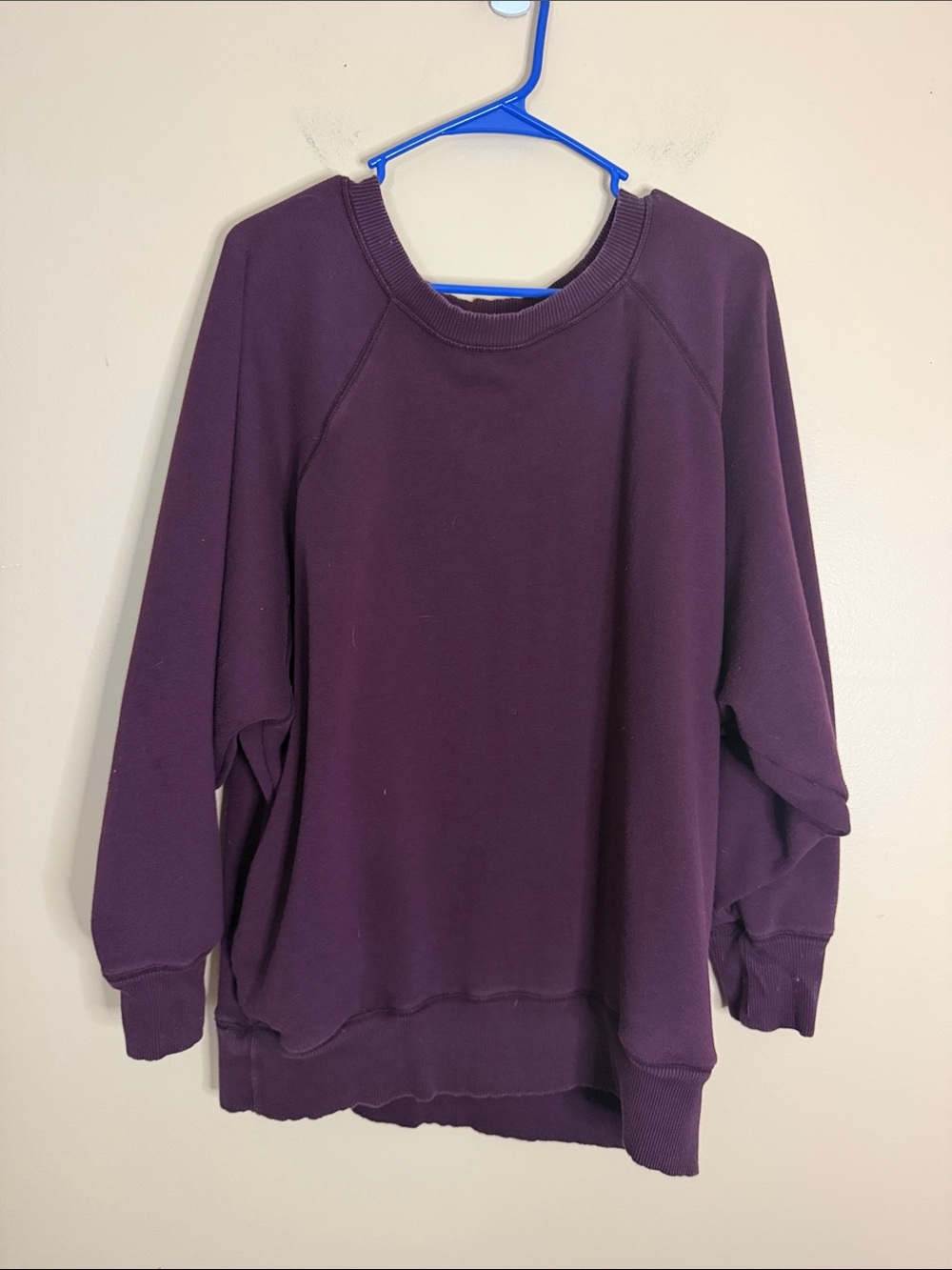 aerie Relaxed Crewneck Sweatshirt in Plum